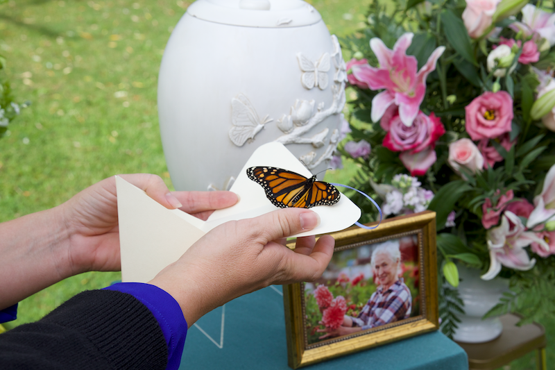 Personalization Options Butterfly Release